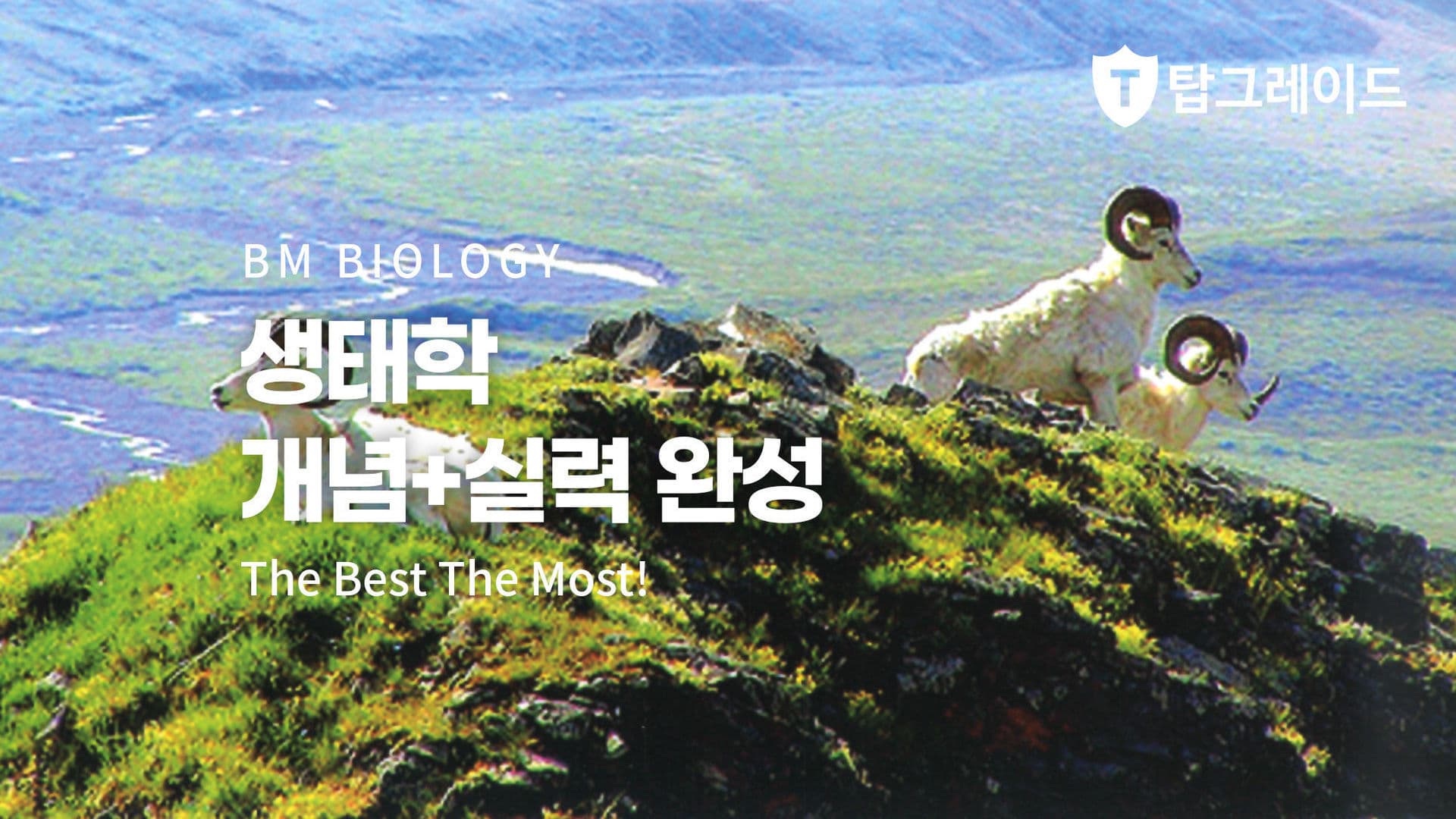 생태학 개념+실력 완성