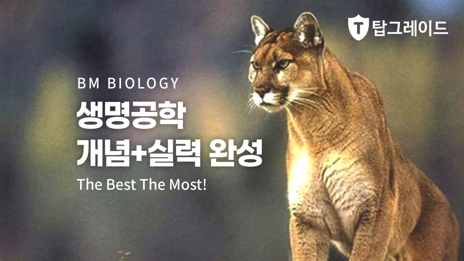 생명공학 개념+실력 완성