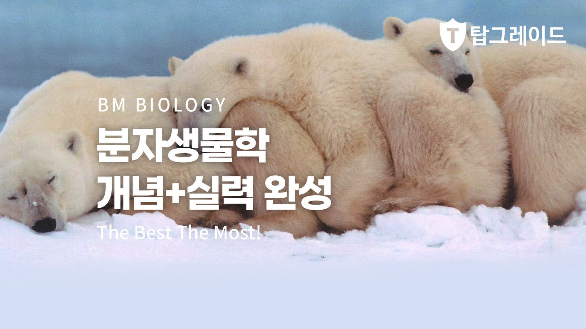 분자생물학 개념+실력 완성