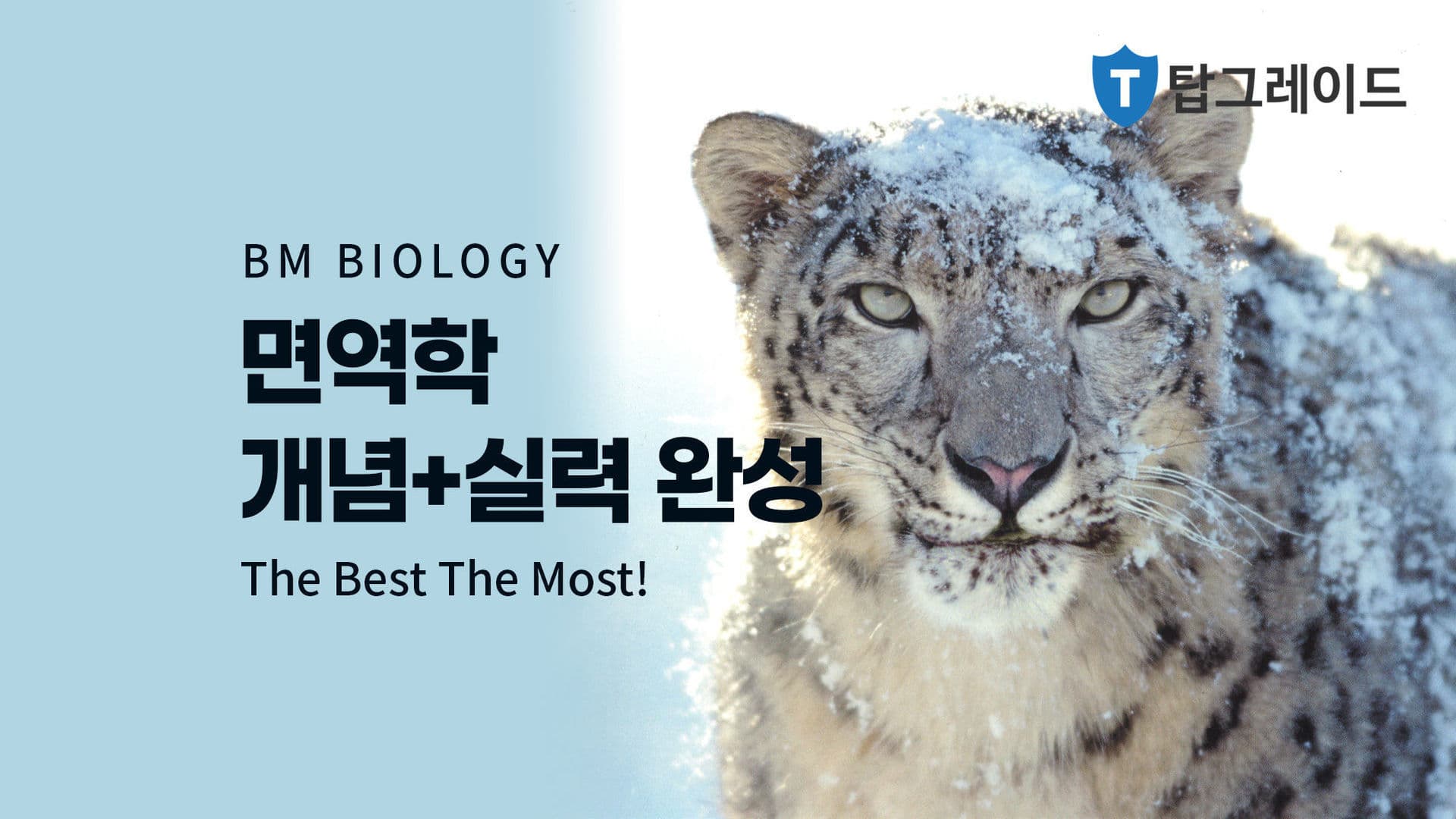 면역학 개념+실력 완성
