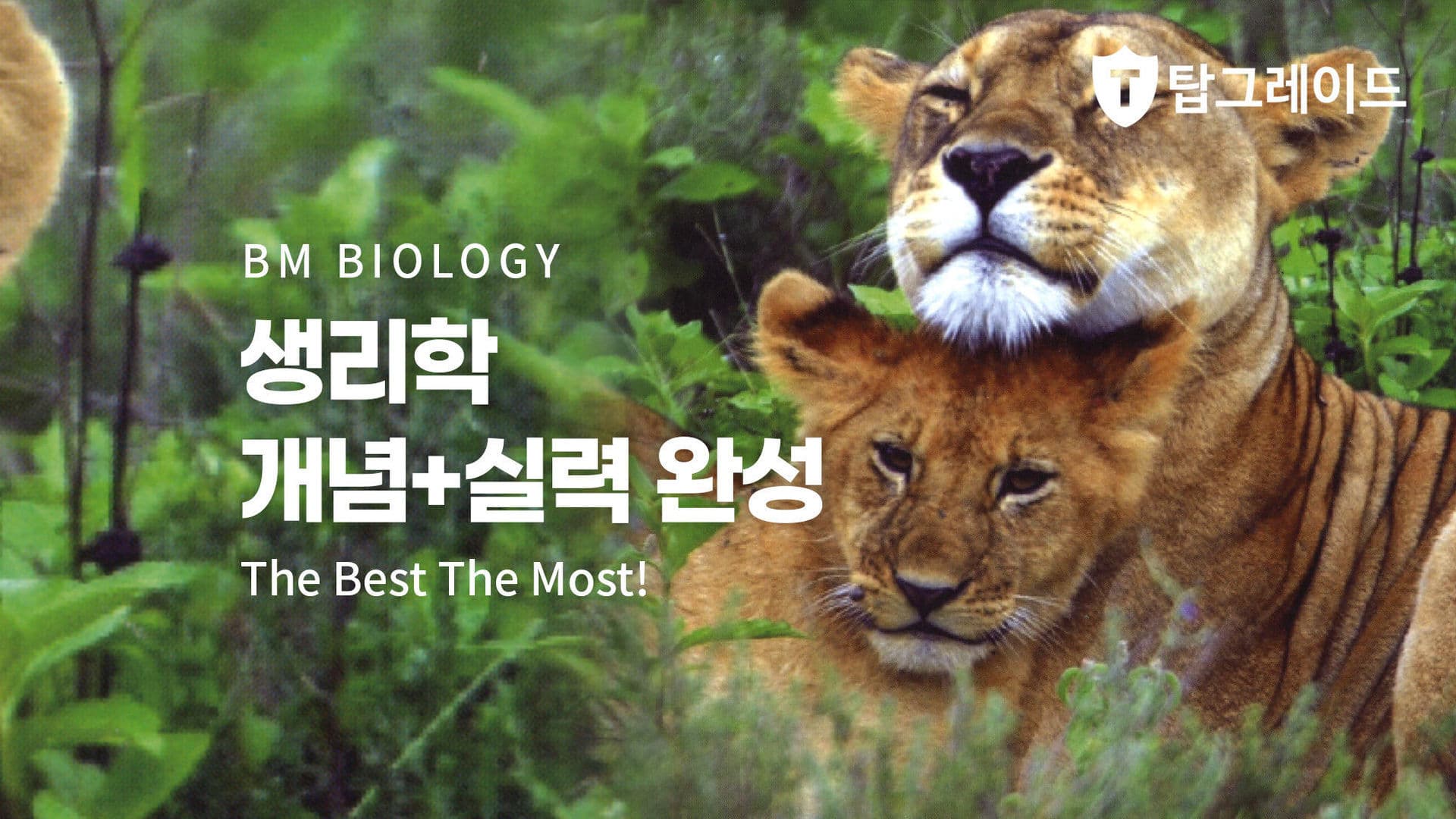 생리학 개념+실력 완성