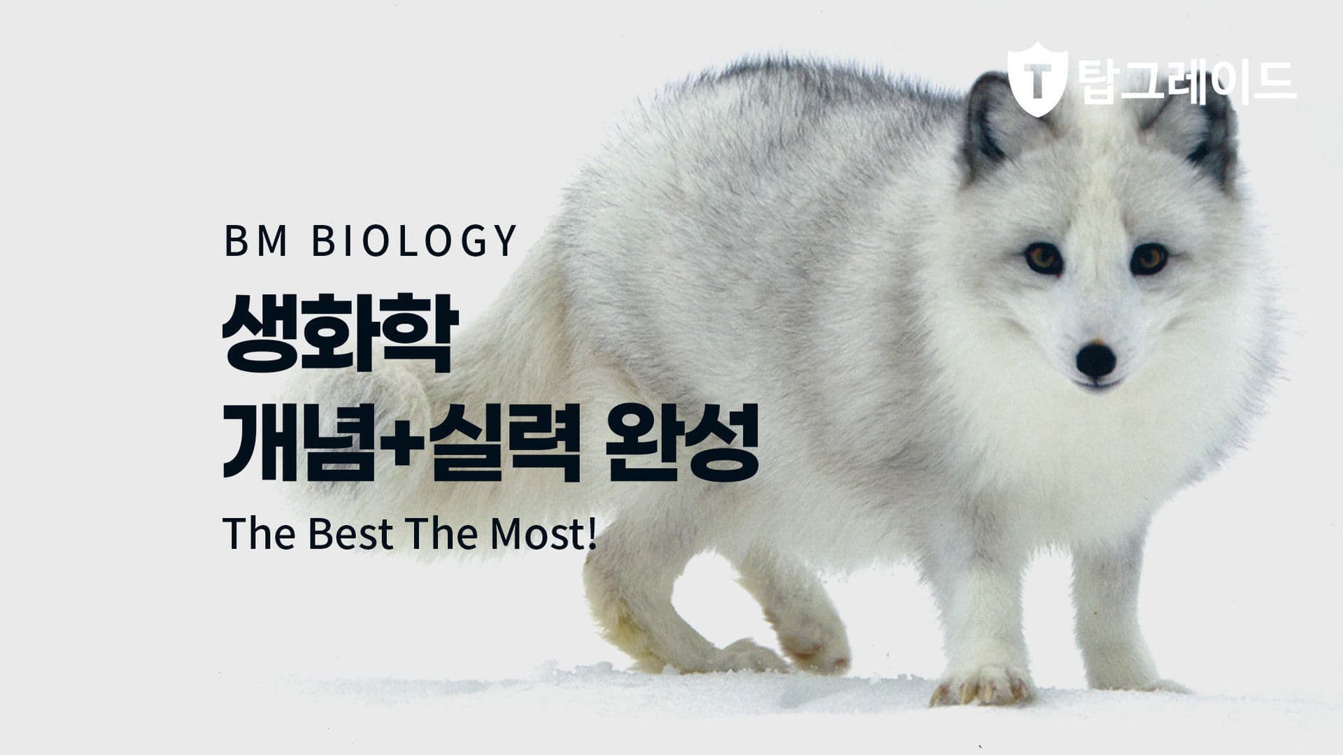 생화학 개념+실력 완성