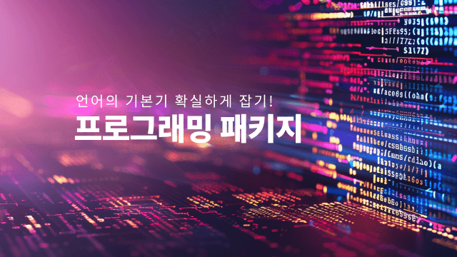 프로그래밍 패키지